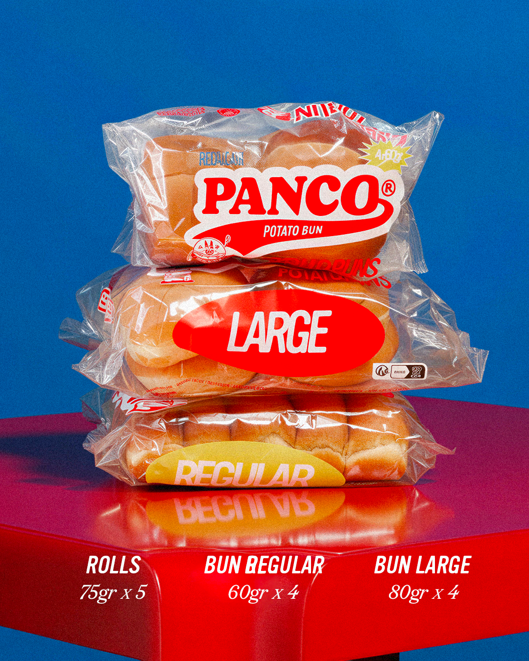 PANCO KIT DECOUVERTE